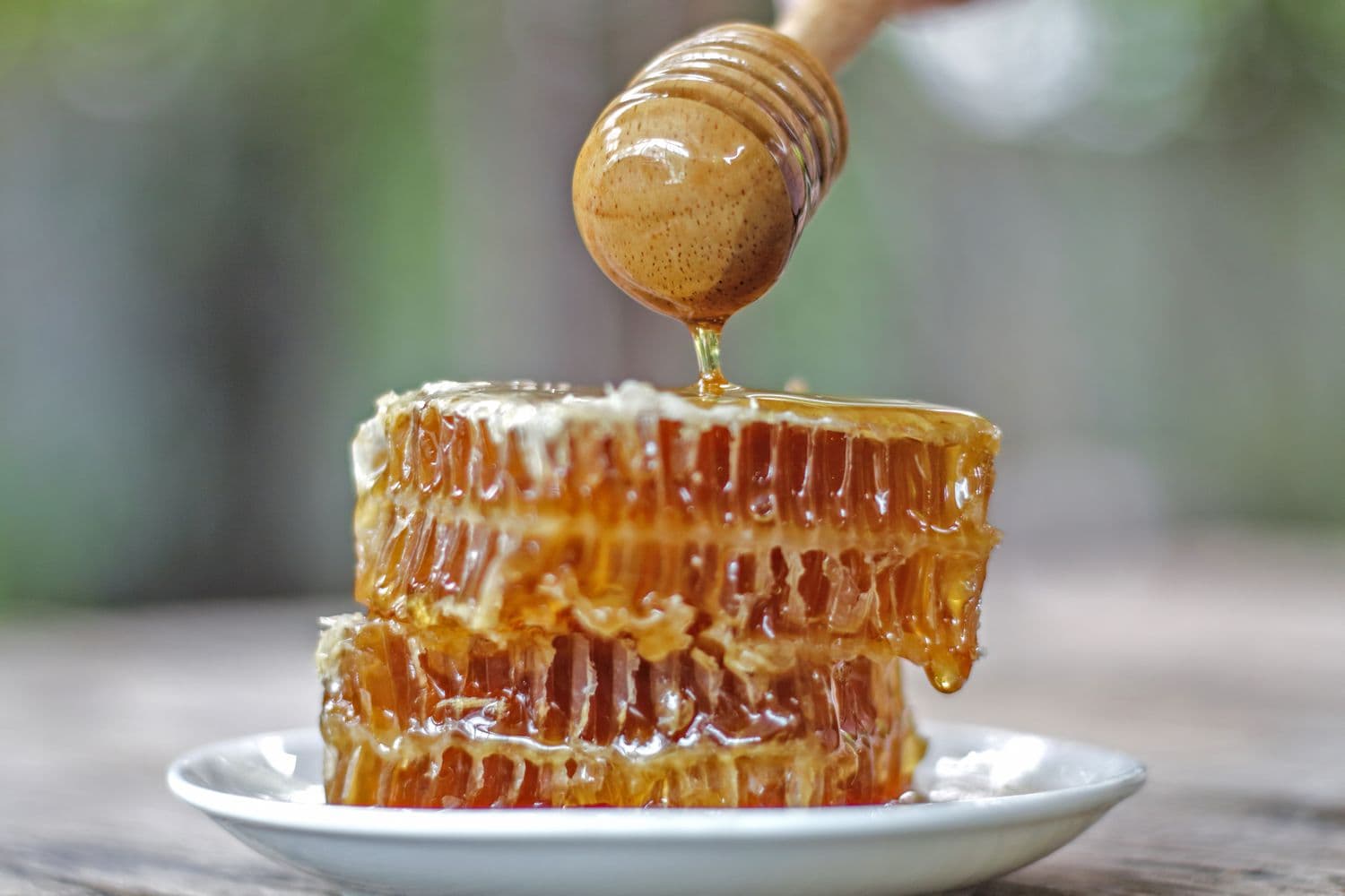 Honey Buzz Bites