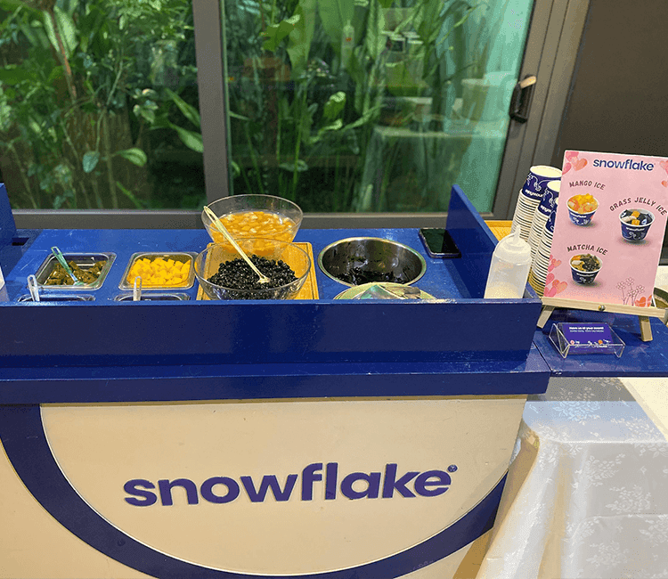 SNOWFLAKE 7