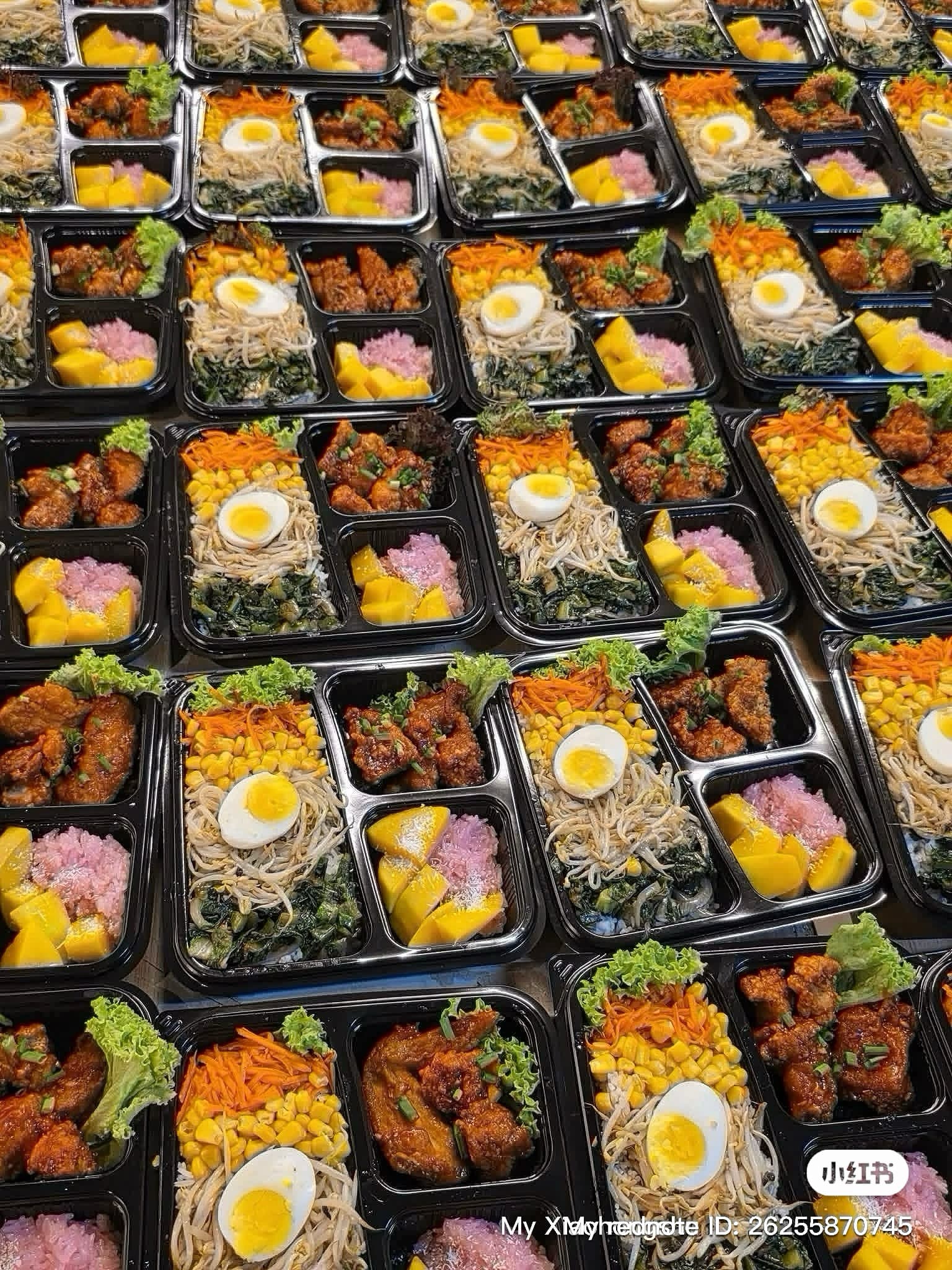 OH MY BENTO 4