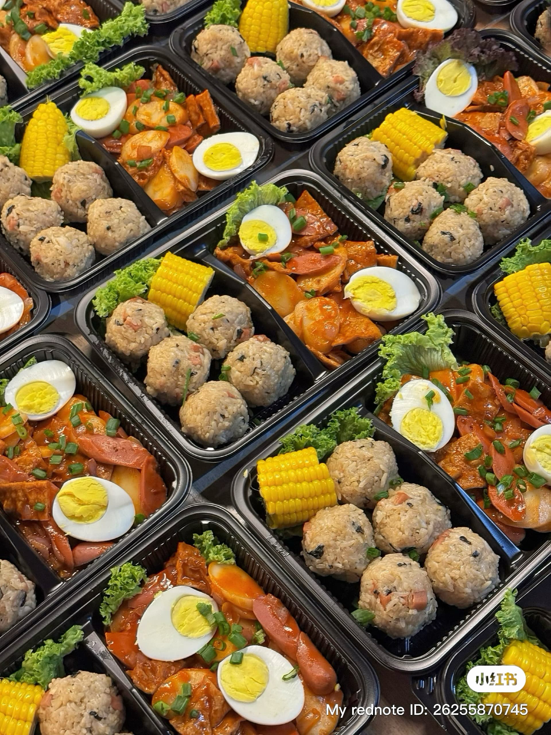 OH MY BENTO 3