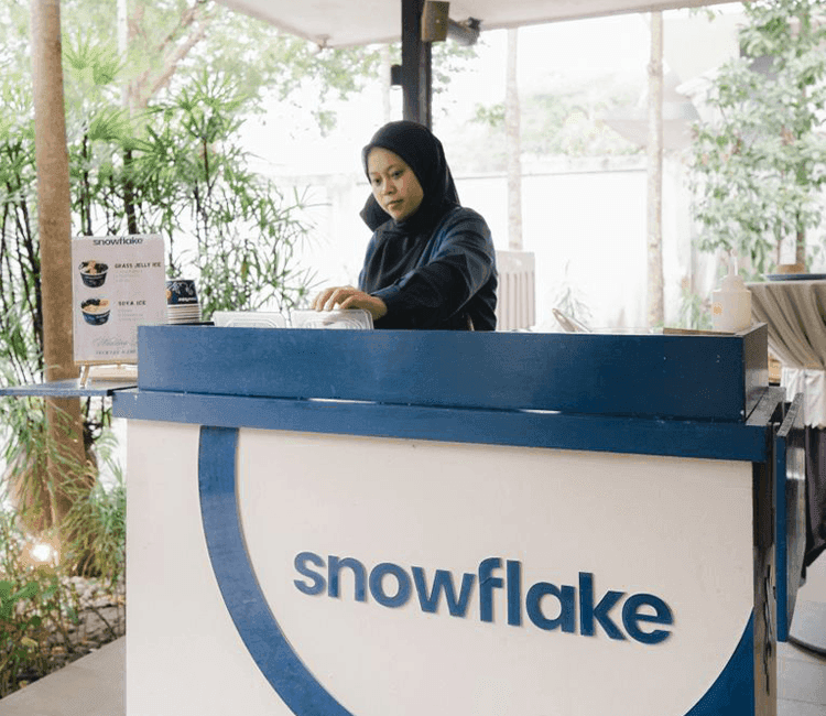 SNOWFLAKE 17