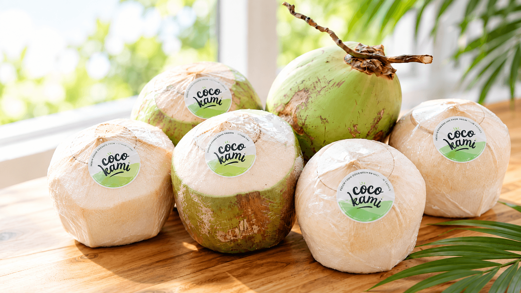 COCO KAMI
