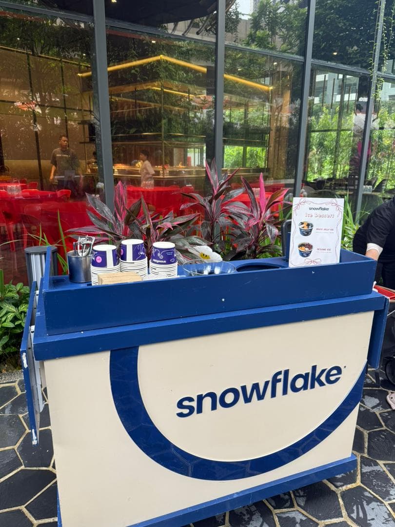 SNOWFLAKE 3