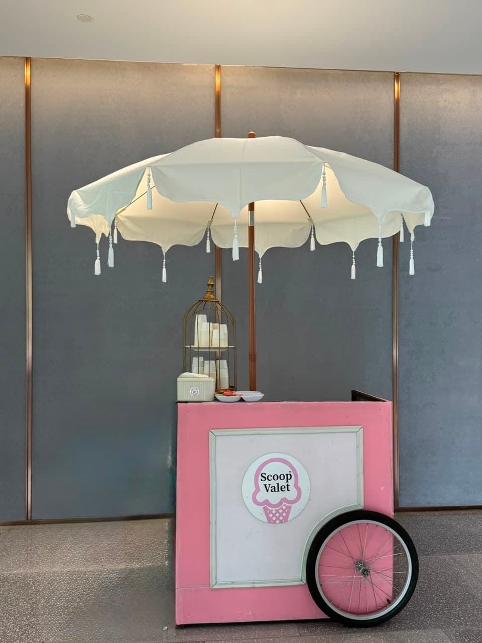 SCOOP VALET GLOBAL